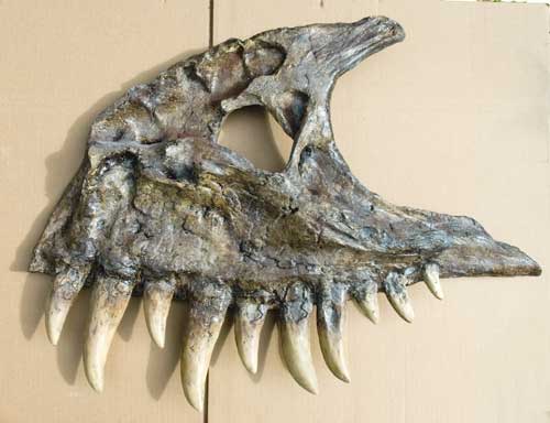 Reproduction Fossile dinosaure tyrannosaure